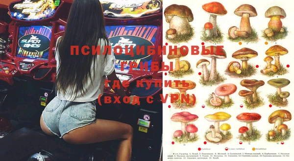 PSILOCYBIN Шадринск