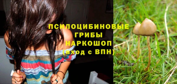гашиш Осташков