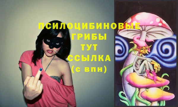 гашиш Осташков
