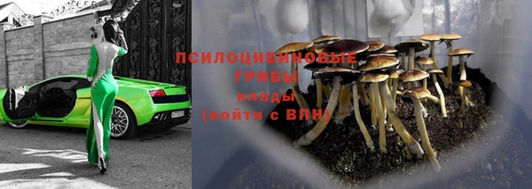 дживик Валдай