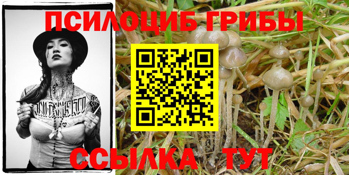 Псилоцибиновые грибы MAGIC MUSHROOMS Белогорск